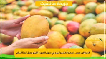 انخفاض جديد.. أسعار المانجو اليوم في سوق العبور الكيلو وصل لهذا الرقم 1